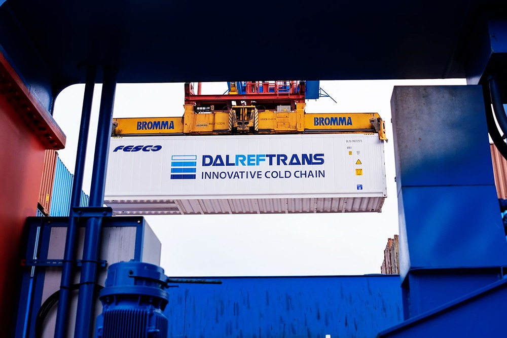 FESCO: доставка винограда из Индии