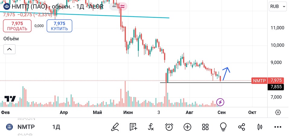 Акции НМТП. Цена и анализ. Мнение эксперта и трейдера. Аналитика, обзор.