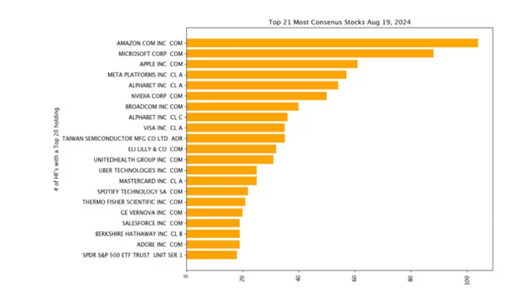 Анализ показывает, что акции высокотехнологичных компаний с высокой рыночной стоимостью по-прежнему являются основой для успешного функционирования хедж-фондов.
