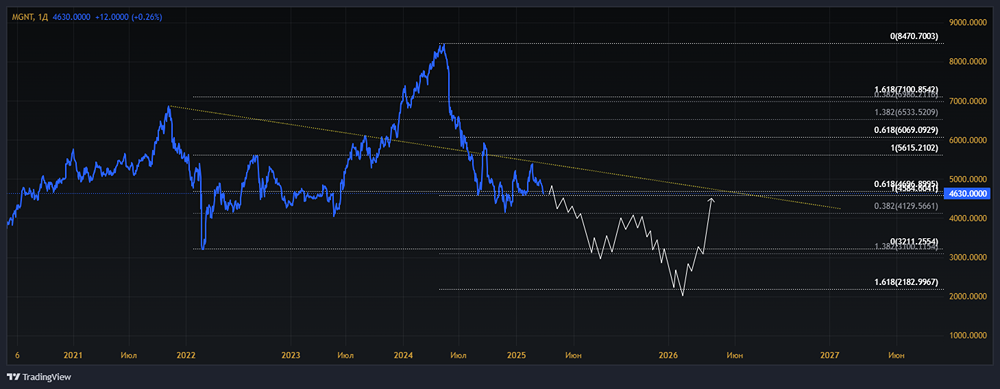 Мнение по акциям МАГНИТ