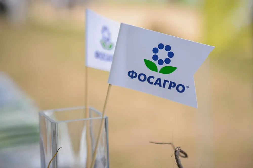 Размещение  облигации