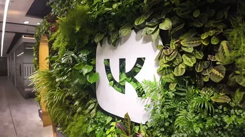 Как улучшается сервис компании ВК?