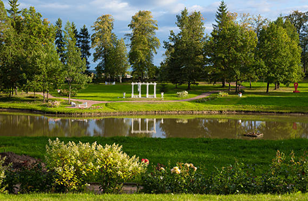 Социальные программы Сбера