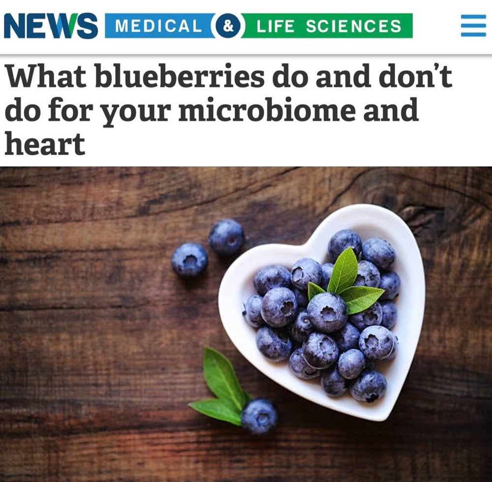 Спасает ли черника от старения?