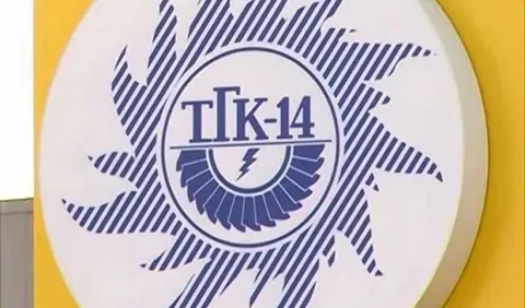 Планирует ли компания «ТГК-14» выплачивать дивиденды?