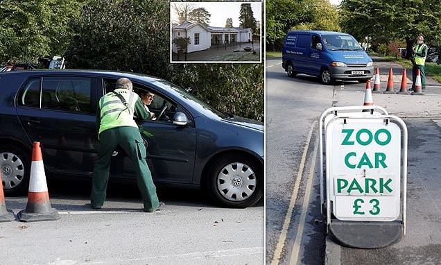 Какой доход принесла платная парковка?