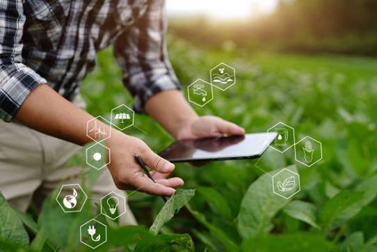 Новости компании ФОСАГРО на 18 апреля 2025 года