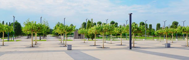 Новости компании ИНГРАД на 21 апреля 2025 года