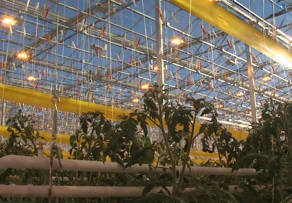 Новости компании «Ростелеком» на 23 апреля 2025 года