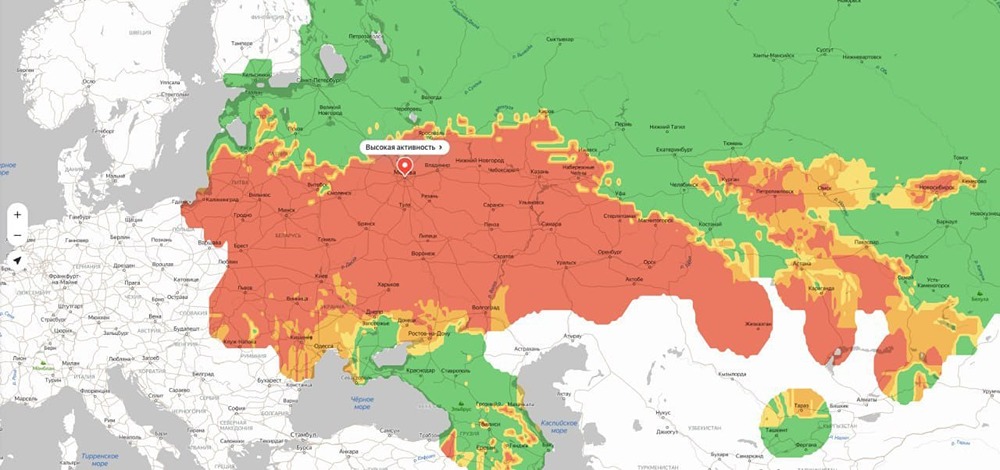 Сезонная аллергия на пыльцу.
