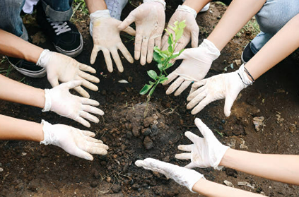 Кто является организатором экологического проекта «Зелёная весна»?