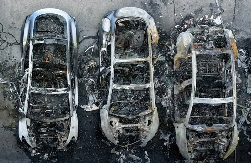 Почему Саманта Харрис не поедет на конференцию в Рим?