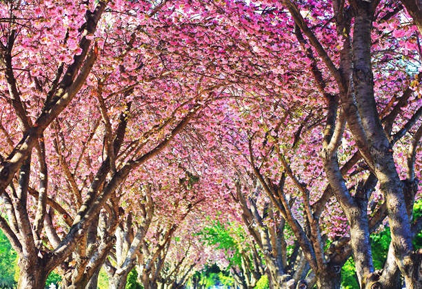 Как интересно сыграть свадьбу?