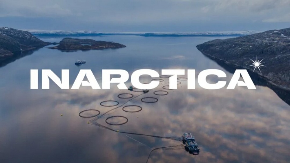 Как изменился доход ПАО «Инарктика» в 1 квартале 2025 года по сравнению с предыдущими периодами?