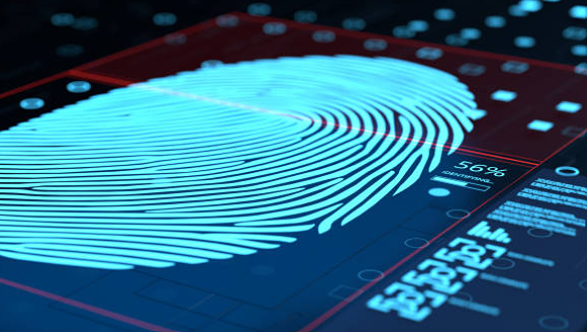 Сбер: какие основные выводы исследования ПРИМ в первом квартале 2025 года?