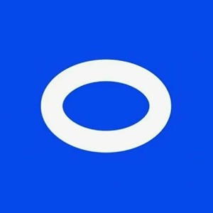Обзор и разбор отчёта компании «Озон»