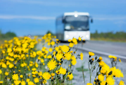 Как в «Яндекс Картах» найти маршрут до дачи на общественном транспорте?