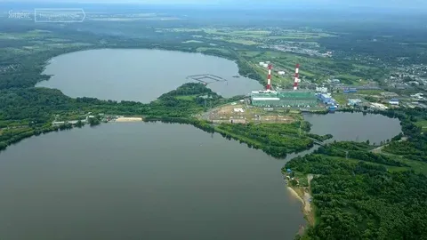 Как прошла акция "Зелёный край" совместно с Юнипро?