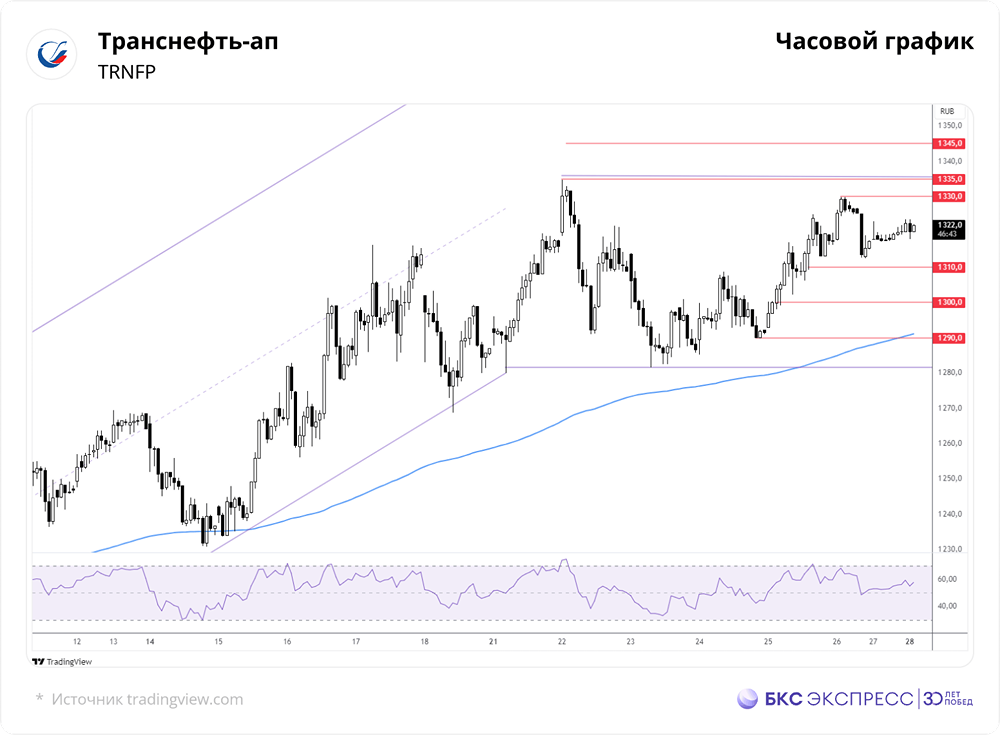 За счет чего могут вырасти привилегированные акции Транснефти?