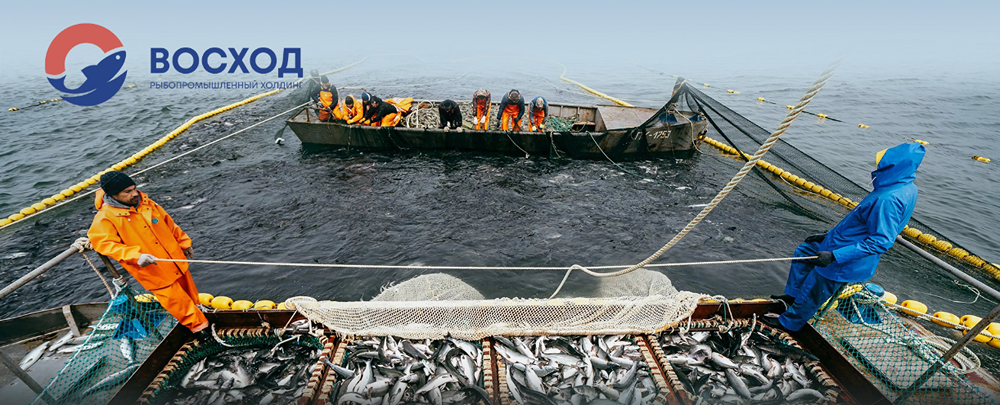 Кто стал новым владельцем холдинга «Восход»?