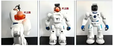 Уникальный робот из Китая