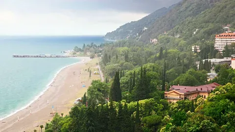 Сколько рейсов полетит в Абхазию?