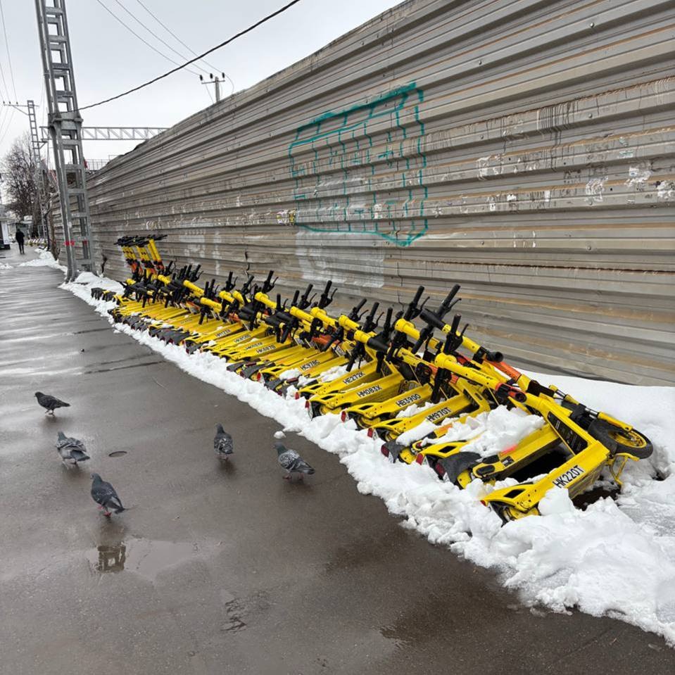 Почему не работают сервисы проката самокатов?