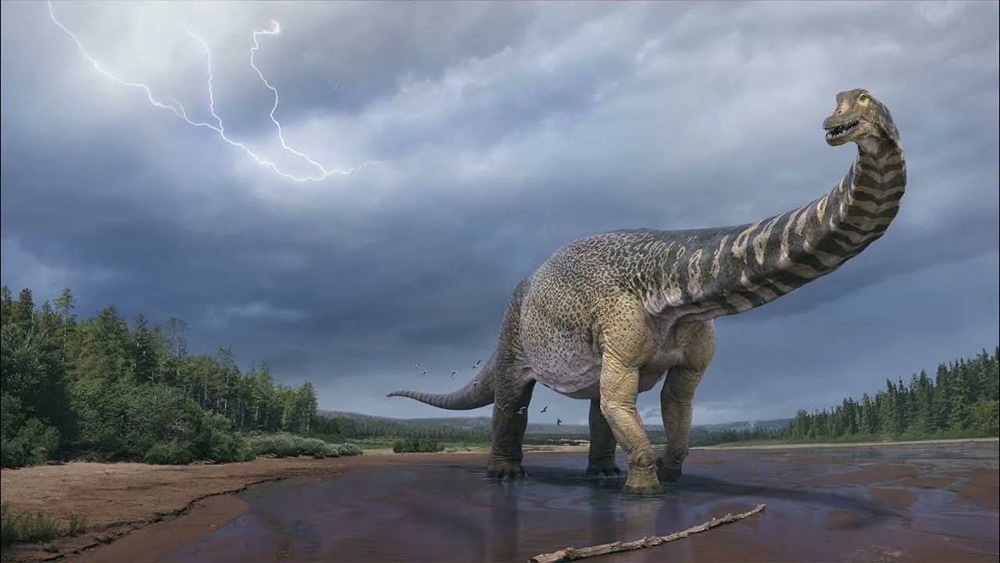 Нужно ли меняться в жизни?