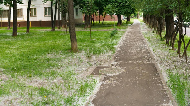 Резкое похолодание в Москве