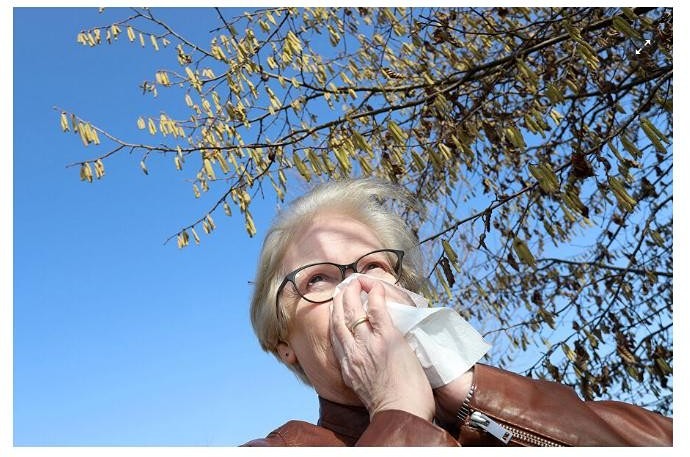 Что включает в себя ОМС?