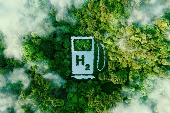 Какие преимущества имеет «Сегежа Групп» на рынке пеллет Красноярского края?