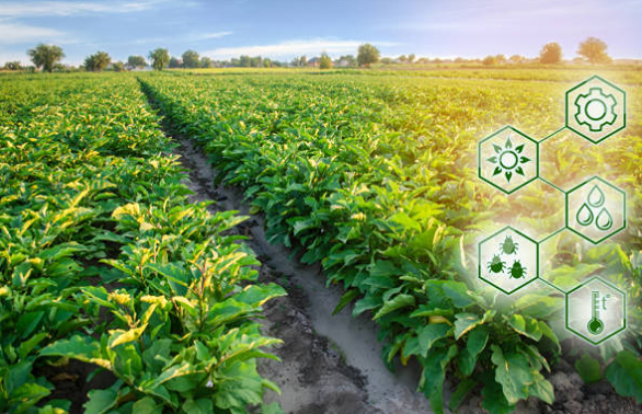 Какие новые продукты планирует поставлять компания «ФосАгро» в Азербайджан?