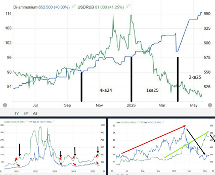 Пришло ли время начать инвестировать в акции ФОСАГРО в мае 2025 года?