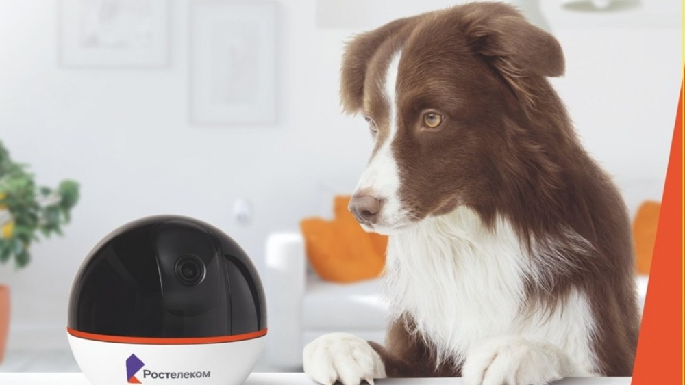 Новости Ростелекома на 22 мая 2025 года