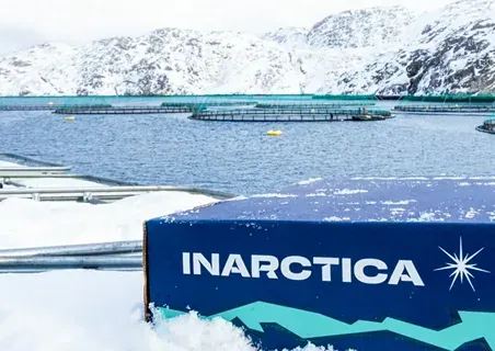 Когда выплатят дивиденды Инарктики за 2024 год ?