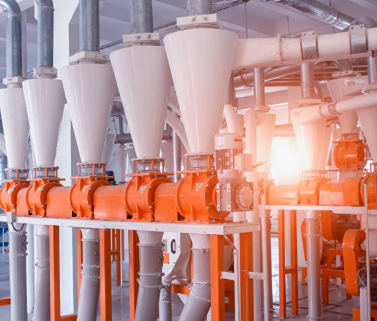 «Татнефть» запускает масштабное производство кормового белка из природного газа в Татарстане