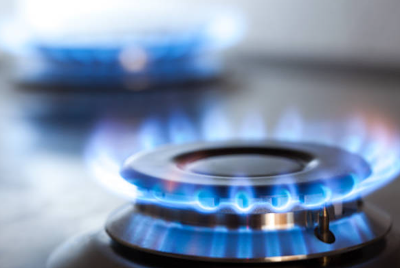 Перспективы развития газовой отрасли в Ленинградской области до 2035 года