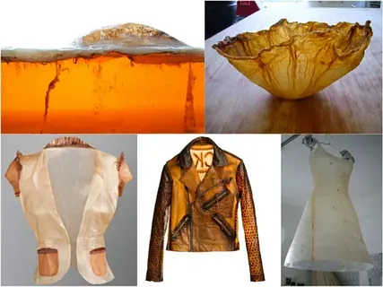 Одежда из чайного гриба — новый тренд среди зумеров в России