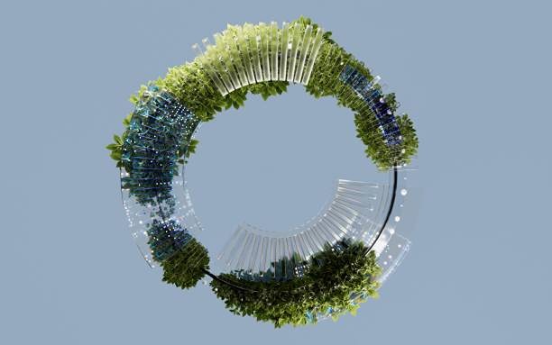 ВТБ открыл экотропу в нацпарке «Земля леопарда» для защиты природы и развития экотуризма