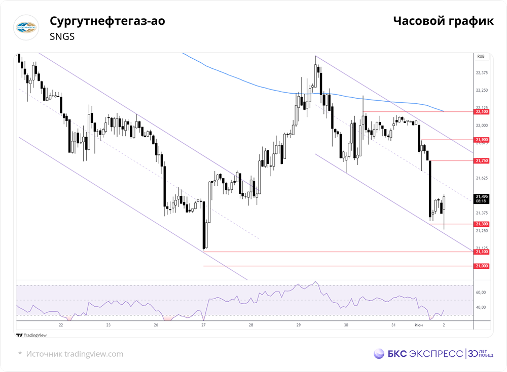 Краткосрочный и долгосрочный анализ акций Сургутнефтегаза: перспективы, уровни поддержки и сопротивления в 2025 году