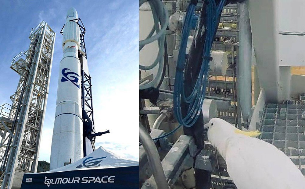 В Австралии попугай стал причиной срыва ракетного старта: какаду повредил провода