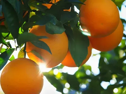 Московская биржа расширяет ассортимент фьючерсных контрактов