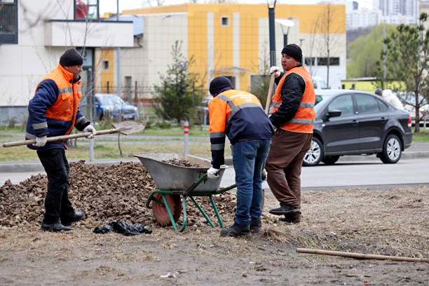 Патент с привязкой к работодателю: что изменится для трудовых мигрантов в России