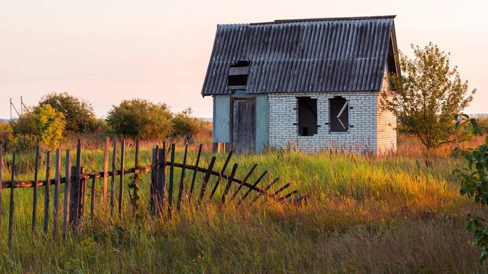 Новые правила освоения земли: что делать, если участок простаивает и как избежать изъятия