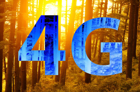 «Таттелеком» укрепил 4G в дачных посёлках и малонаселённых пунктах