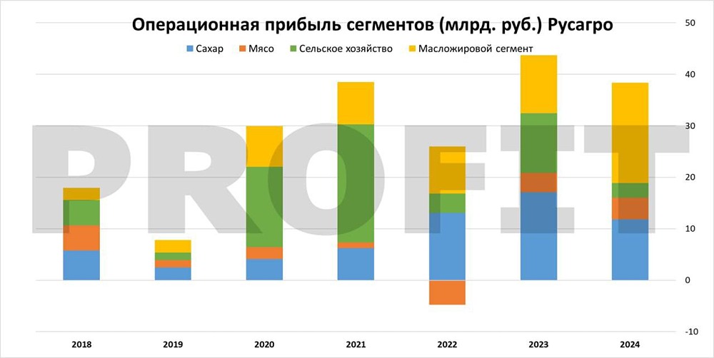 Русагро — почему бизнес компании заслуживает внимания инвесторов в 2025 году