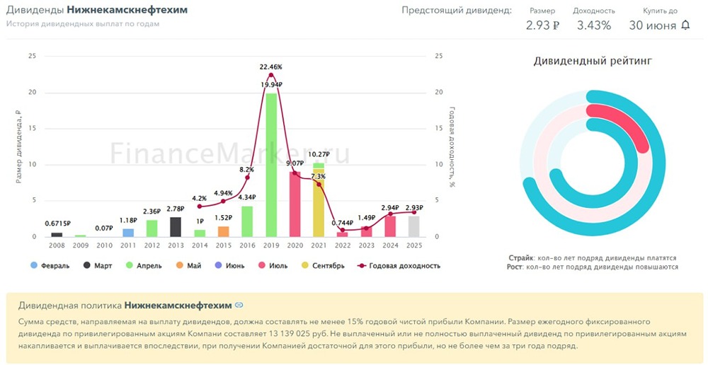 Обзор акций Нижнекамскнефтехим 2025: финансовые показатели, дивиденды и прогноз
