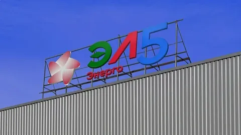 Акционеры «ЭЛ5-Энерго» решили не выплачивать дивиденды по итогам 2024 года