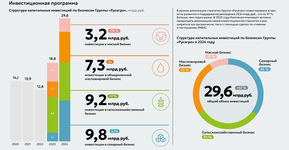 Что нужно знать инвестору о Русагро в 2025 году: финансы, риски и прогнозы
