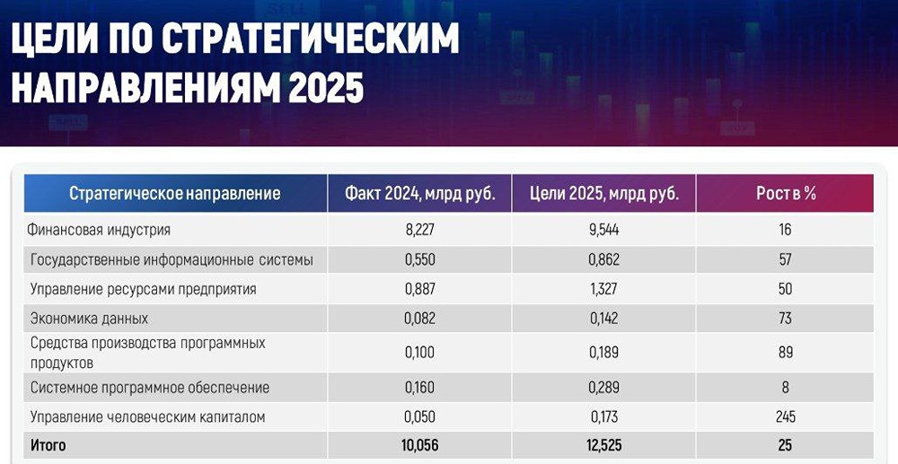 Что ждать от Диасофт в 2025 году: анализ новых целей и возможных рисков
